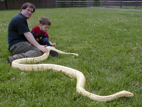 Pat and nephew happened across a man taking his huge albino boa constrictor out for a walk