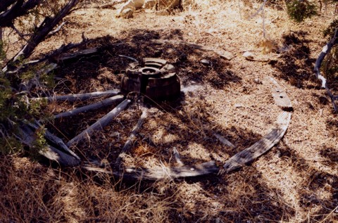 Wagon Wheel found along the route. Believed from the 49er's
