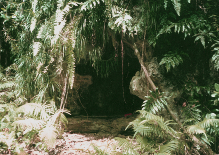 Cave on Guam