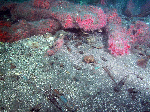 50 Caliber Rounds Near Sunken P-38