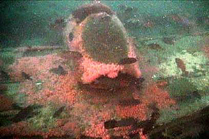 The Cockpit of the P-38, Looking Forward From Behind the Wing