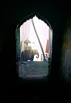 Bob’s Elephant Pic