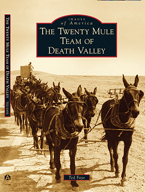 The Twenty Mule Team of Death Valley Book Cover