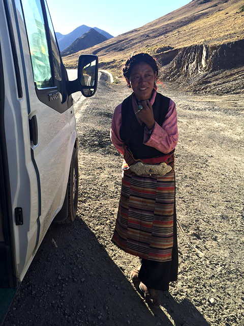 The Shepherd Lady Came Checkout Our Steed While...