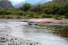 Copper Canyon 2007 river crossing.jpg (21280 bytes)