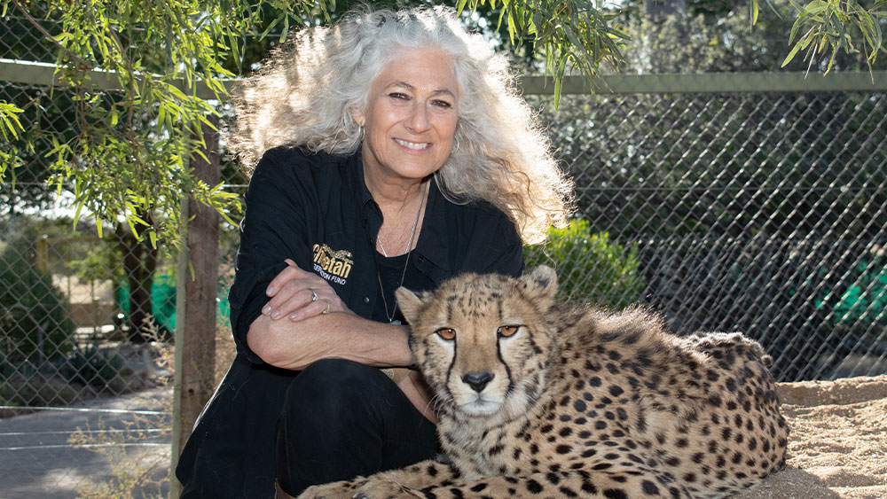Saving Cheetahs with Dr. Laurie Marker: A Cheetah Conservation Fund Fundraiser