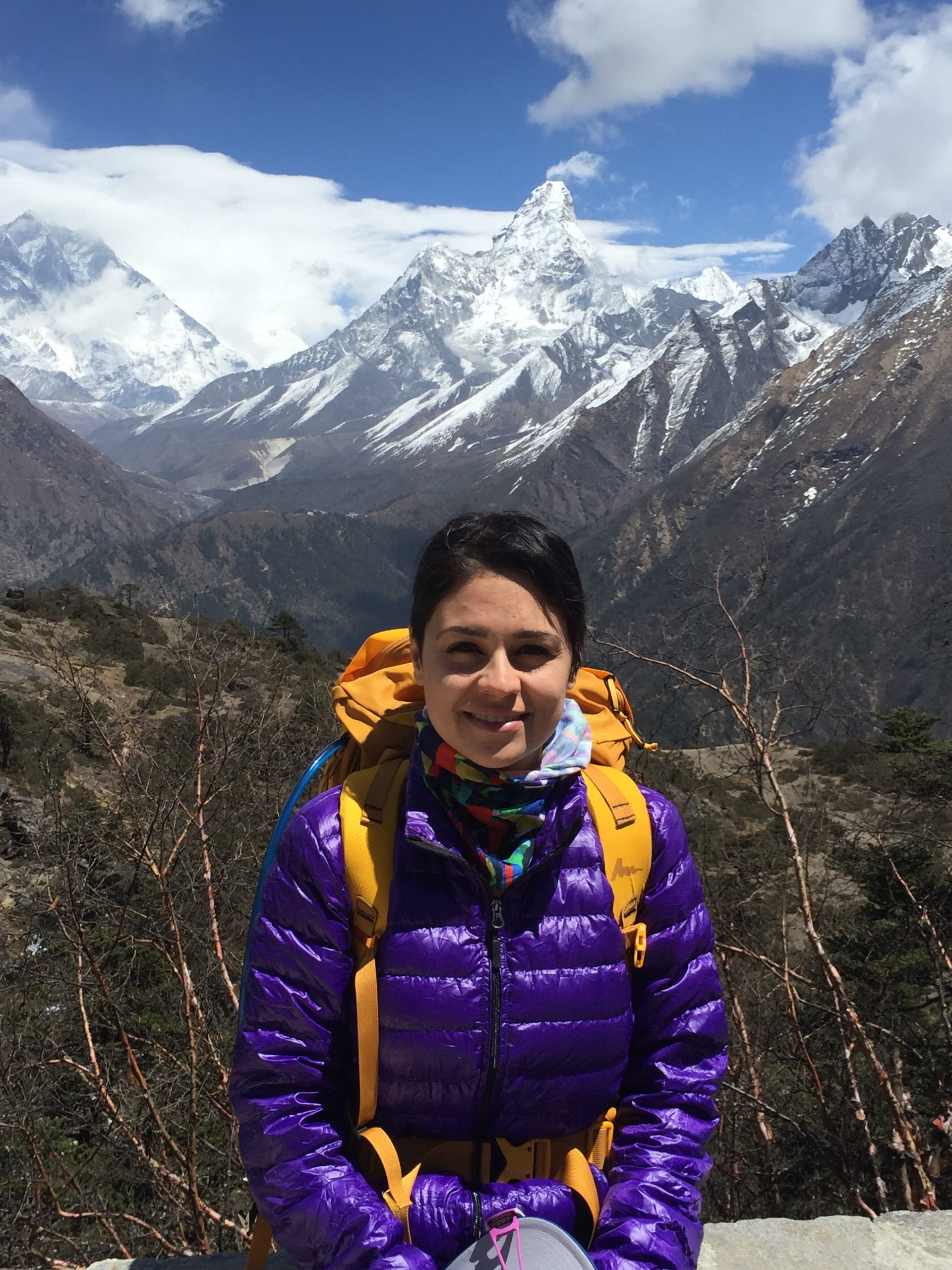 Climb your Everest presented by Dr. Sara Safari